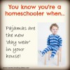 You know you're a homeschooler when!