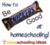 How to be Snickers Good at Homeschooling
